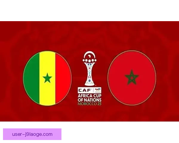 2025年非洲杯确定落户摩洛哥 多项改革推动赛事发展