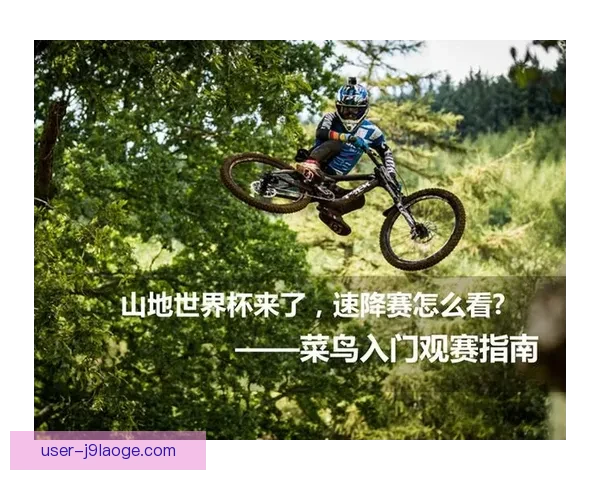 世界杯出线形势解析与实战教程全攻略深度指南与观赛策略分享